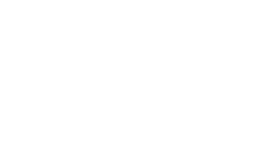 3D DEM Wireframe Mesh